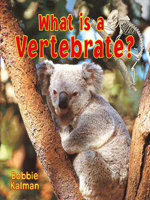 cover image of What is a Vertebrate?